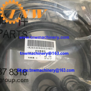 B260409000246K seal kit for SANY